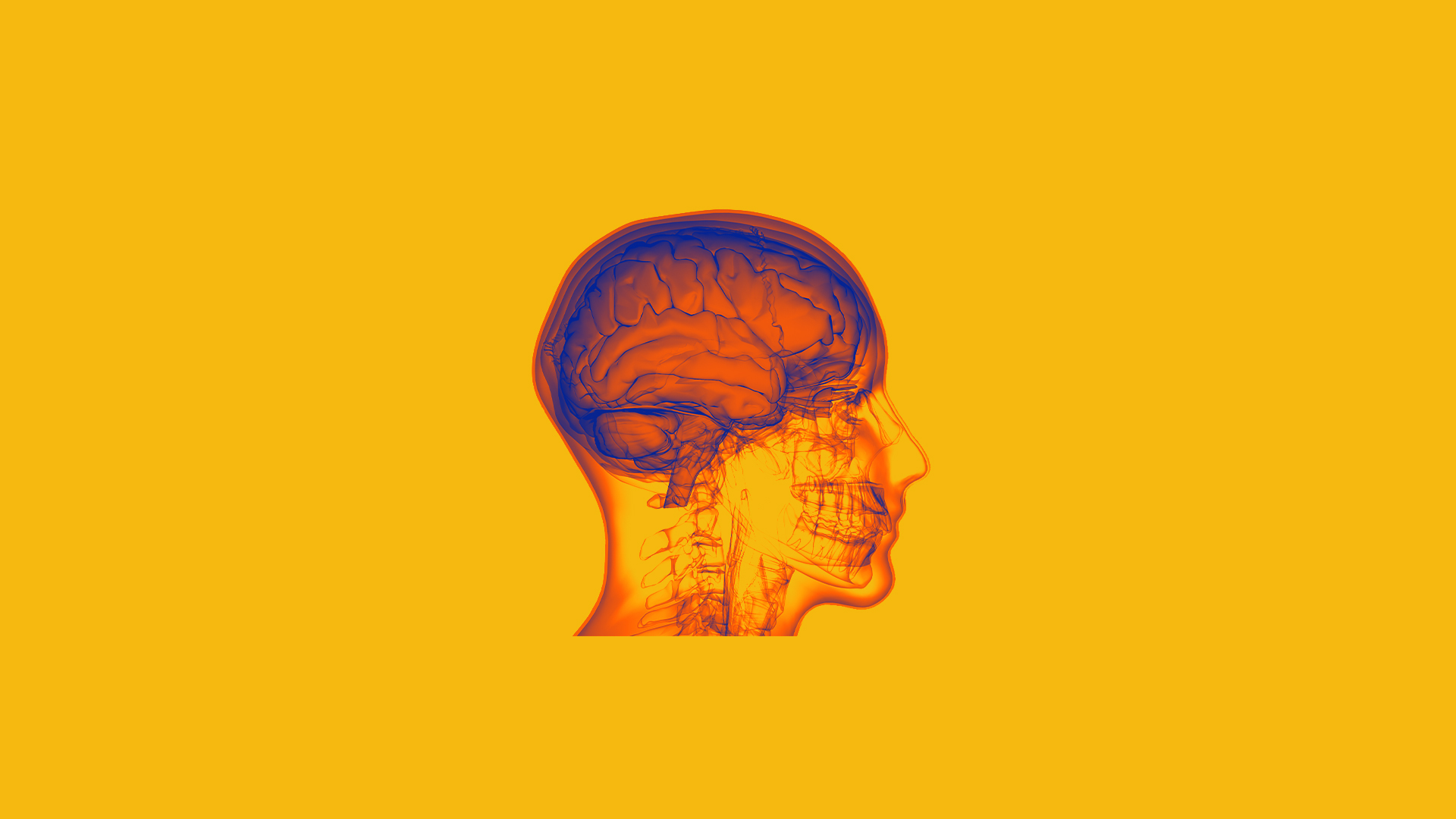 A person's head in an infrared image on a yellow background.